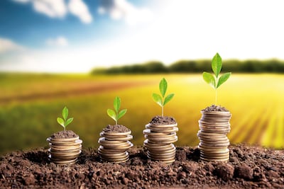 Finanzas en el agro: la clave para gestionar