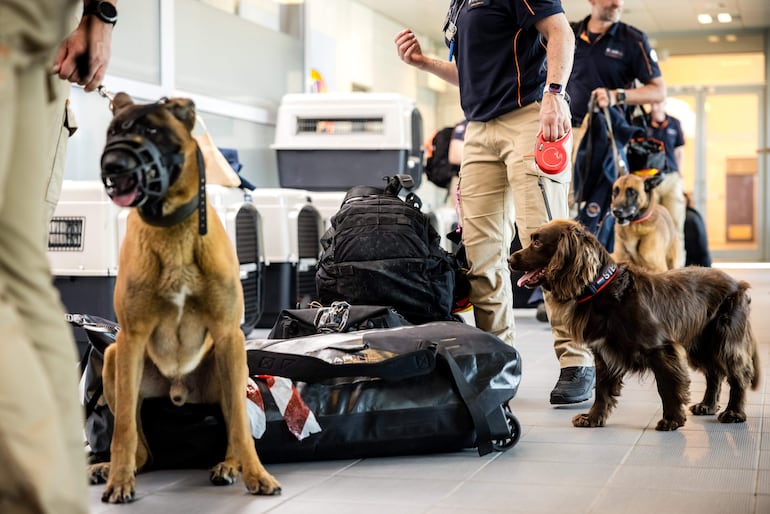 Equipo de rescatistas alemanes rumbo a Venezuela desde el aeropuerto de Eindhoven.