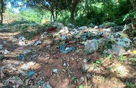 basuras en patio baldío