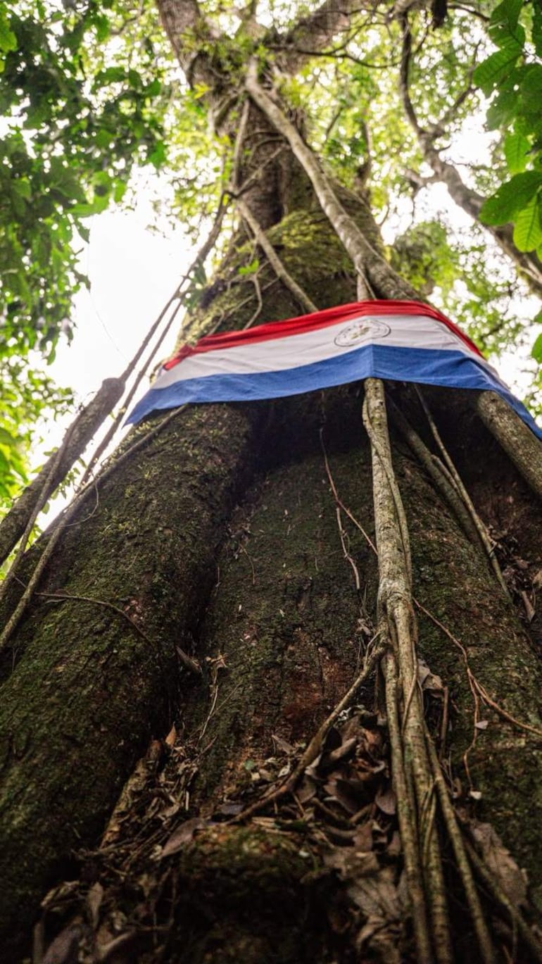 Árbol imponente en un entorno natural, con la bandera de Paraguay en su base, resaltando el simbolismo nacional.