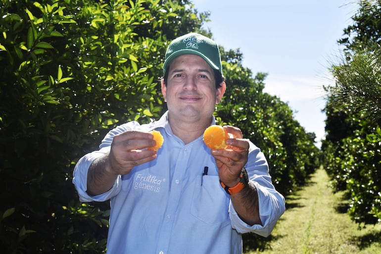 Fernando Flor, gerente comercial general de Frutika.