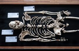 Vista general de la reproducción osteológica del esqueleto fósil de "Little Foot" en la exhibición de las cuevas de Sterkfontein, ubicada dentro del Sitio Patrimonio de la Humanidad de la UNESCO Cuna de la Humanidad, en Krugersdorp, cerca de Johannesburgo, el 15 de abril de 2025.