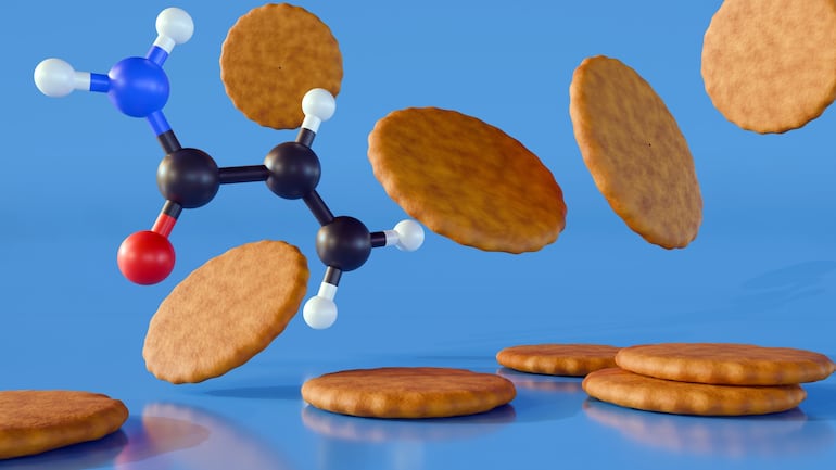 Galletitas y la reacción de Maillard.