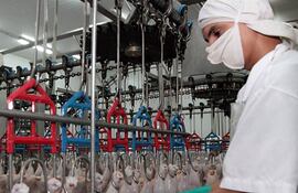 El aumento del precio de la carne vacuna en el mercado local posicionó al pollo como una opción más económica para los consumidores.