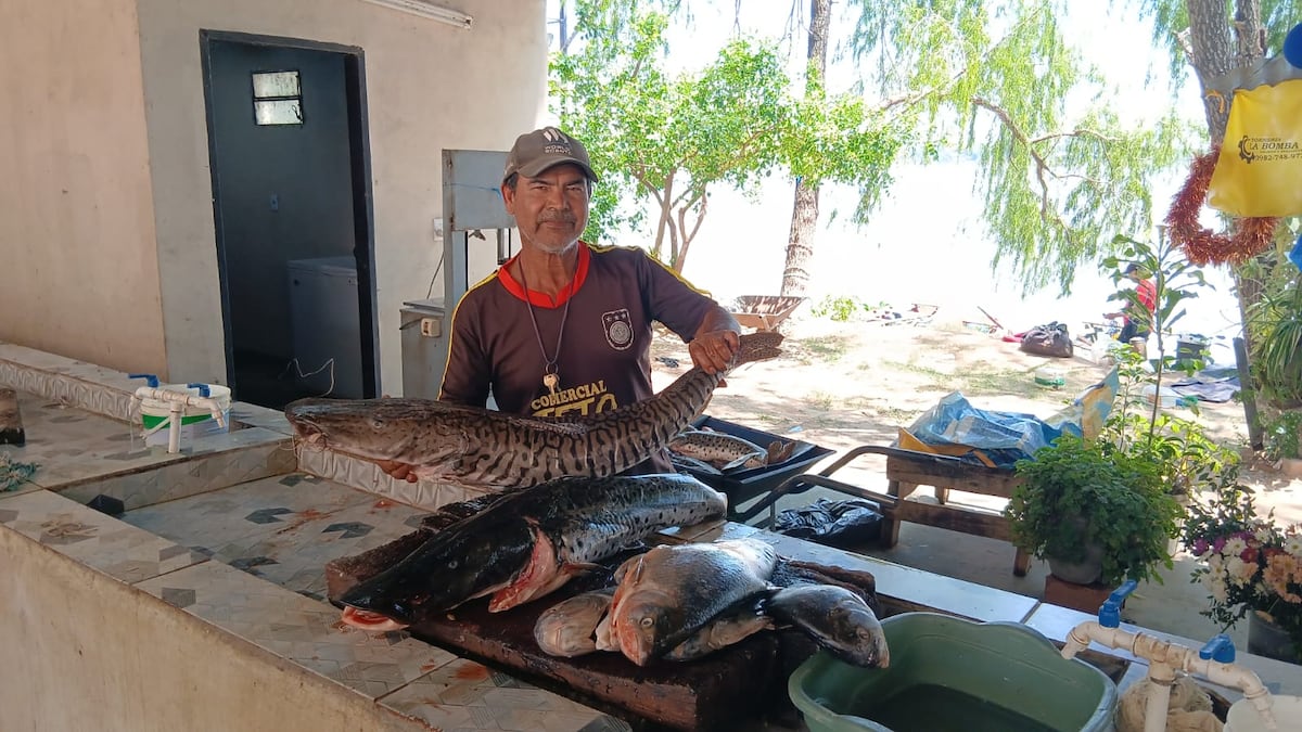 Comerciantes ofrecen pescados a precios accesibles antes de la veda pesquera