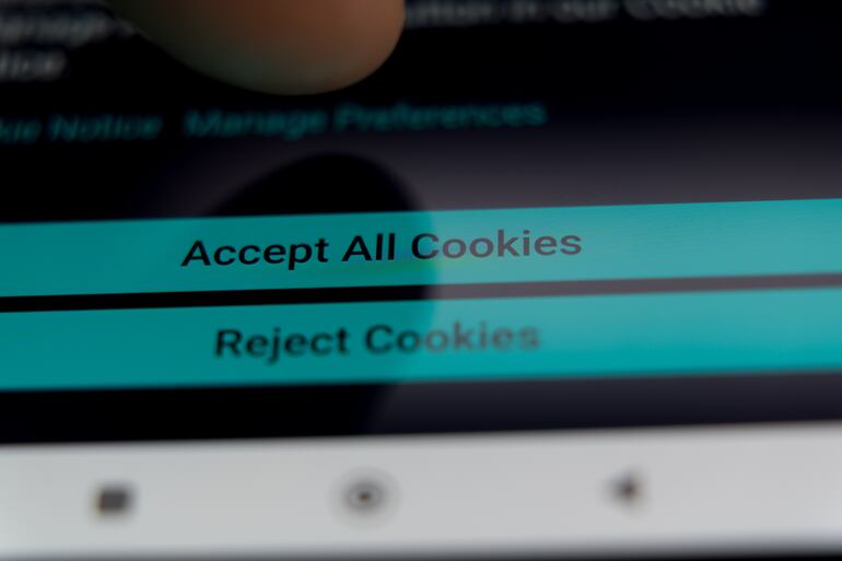Concepto de cookies en el navegador.