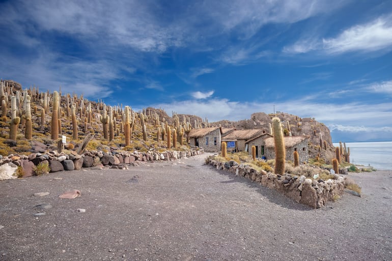 Isla Incahuasi, Bolivia.