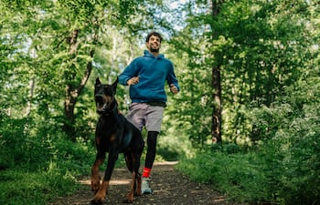 Hombre trota con su perro en un bosque.