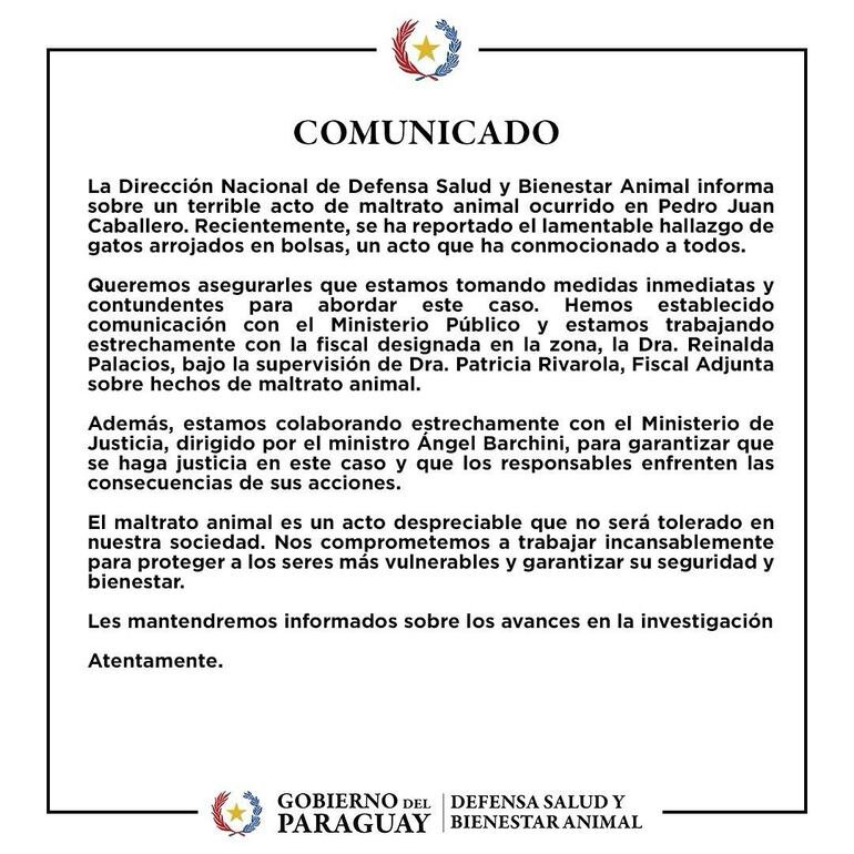 El comunicado de Defensa Animal sobre el caso de los gatos encontrados en bolsas en PJC.