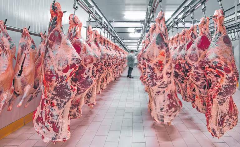 Carne paraguaya: ¿cuándo se podrá exportar a México y Turquía? Carne paraguaya: ¿cuándo se podrá exportar a México y Turquía?
