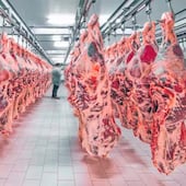 Hasta julio, Paraguay destinó su carne bovina a aproximadamente 50 mercados.