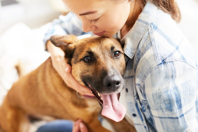 Vínculo humano-perro.