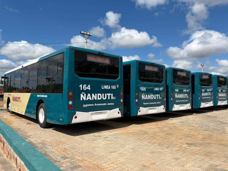 Seis autobuses de la empresa Ñanduti, de color azul y beige, estacionados en una zona pavimentada bajo un cielo despejado.