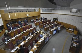 Sesion de la camara del Senado en el congreso de nacion
Hoy 03 de Diciembre de 2025
Gustavo Mchado