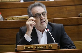 El diputado cartista Yamil Esgaib busca reducir hasta el 50% de pena carcelaria a funcionarios públicos.
