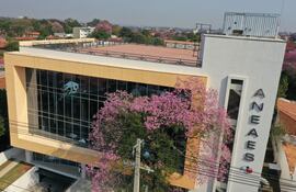 Fachada del edificio de la Aneaes.