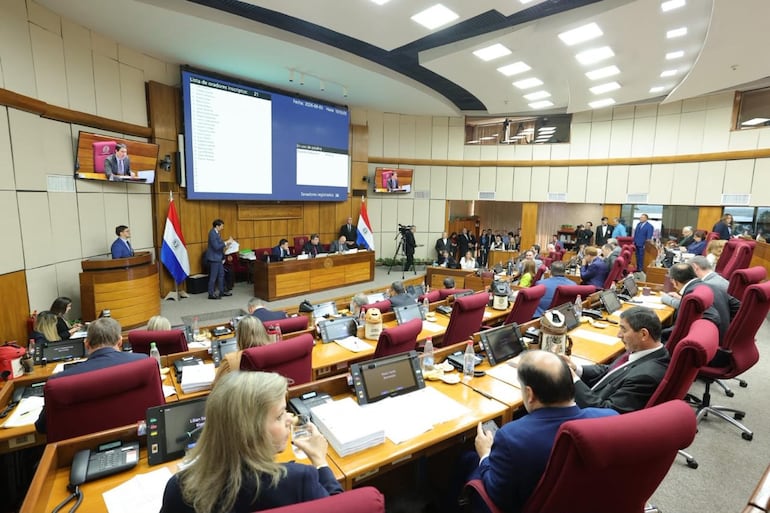 Los senadores opositores Ignacio Iramaín y Esperanza Martínez. Foto: Prensa Senado.