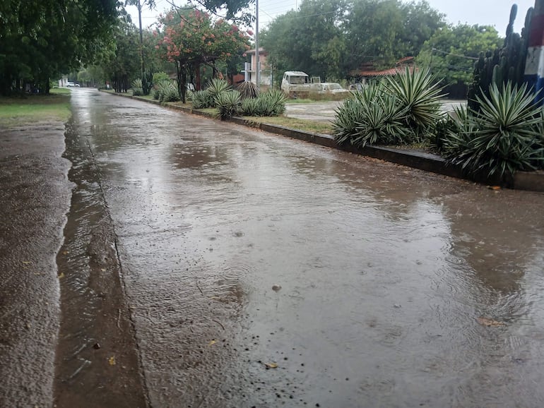 Calle pavimentada mojada y vacía, reflejando el agua de la lluvia. Vegetación y flores rosadas en el entorno.