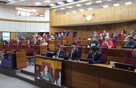 Representantes de sindicatos, del Banco Central del Paraguay (BCP) en la audiencia pública en la Cámara de Senadores sobre el cálculo del salario mínimo.