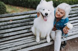 Perro y adulto mayor.