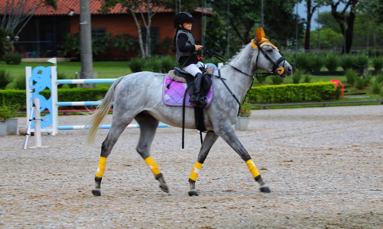 Yisel Peralta Chiuzano, sobre el lomo de Arasunú, saltará entre los pequeños de la Mini Escuela.