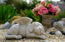 Para muchos, la muerte de su perro causa una tristeza equivalente a la pérdida de un ser querido.