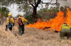 Varios establecimientos ganaderos de Fuerte Olimpo sufrieron pérdidas millonarias por efecto de los incendios que se iniciaron el 1 de agosto.