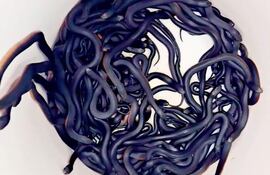 Esta captura de pantalla de un video proporcionado por Cory Kerewaro, tomado el 31 de enero de 2025 y publicado el 7 de febrero de 2025, muestra a decenas de mortíferas serpientes negras de vientre rojo descubiertas en el patio trasero de una casa en el oeste de Sídney. Un equipo de cazadores de reptiles australianos afirma haber superado el querido cuento infantil 101 dálmatas, al tropezar con un nido de 102 serpientes venenosas en un jardín suburbano.