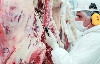 Precio promedio por tonelada subió 17% interanual y logró sostener uno de los mayores niveles de ingresos de los últimos años.