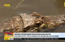 Mades interviene Municipalidad de Itá