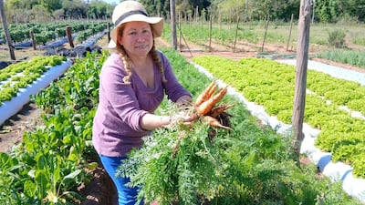 Mujer de cabello trenzado y camiseta lila sonríe mientras sostiene zanahorias en un campo agrícola cuidado.