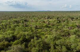 El proyecto Chaco Vivo protege 187.000 hectáreas de bosque y beneficia a comunidades indígenas del Gran Chaco.