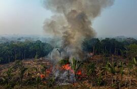 El estado brasileño de Amazonas declara una emergencia ambiental ante los incendios