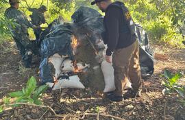 marihuana Canindeyú Senad