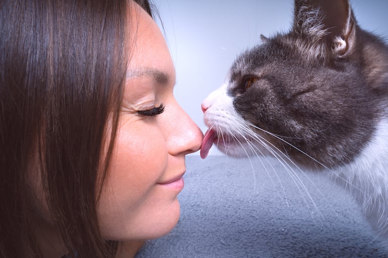 ¿Por qué mi gato me muerde el pelo o la cara?