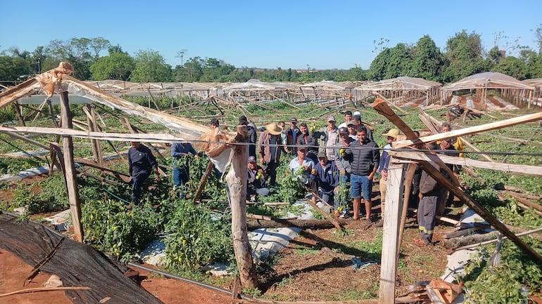Grupo de personas reunidas en invernadero, sosteniendo productos agrícolas y conversando en un ambiente soleado.