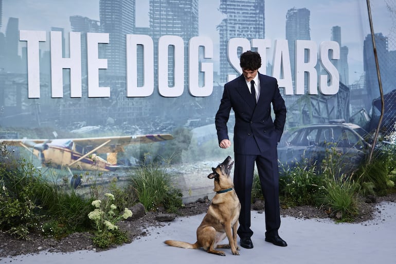 El actor australiano Jacob Elordi interactuando con el perro Rak Jasper en el estreno mundial de «The Dog Stars» en el Odeon Luxe Leicester Square de Londres. (EFE/EPA/TOLGA AKMEN)