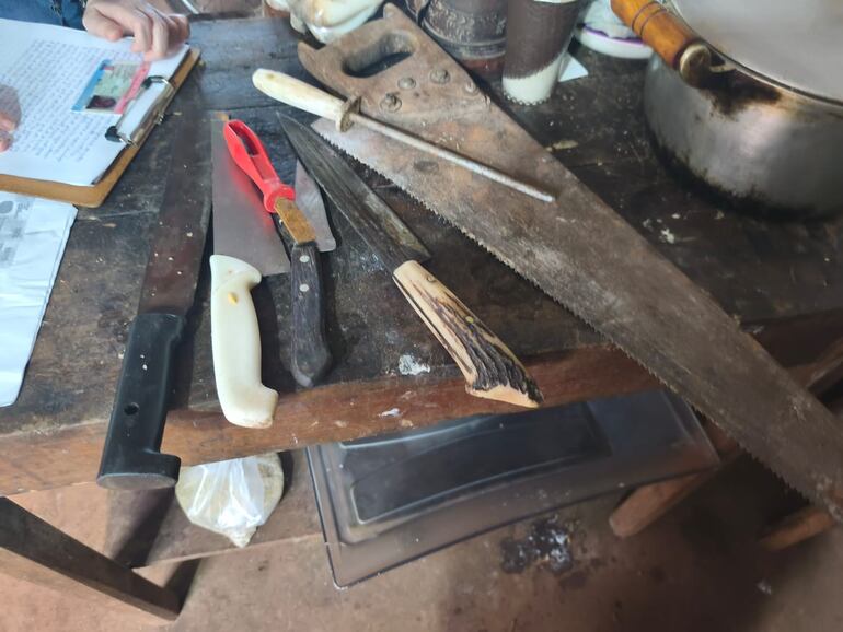 Arrestan a otra persona por robo de ganado en Encarnación