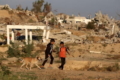 Dos niños y un perro pasean entre escombros en el campo de desplazados de Nuseirat, en la zona central de la Franja de Gaza.