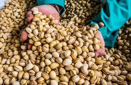 El 26 de febrero se celebra el Día Mundial del pistacho.
