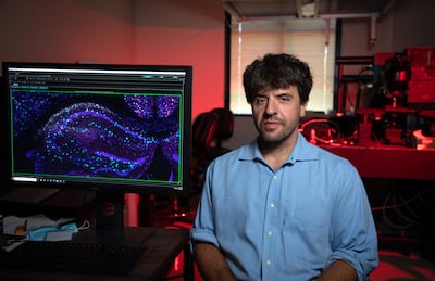 Una fotografía cedida por la Universidad de Stanford muestra al científico y médico estadounidense Karl Deisseroth posando para un retrato en su laboratorio CNC, en la Facultad de Medicina de la Universidad de Stanford, en Palo Alto, California, Estados Unidos, el 10 de agosto de 2021 (publicada el 5 de octubre de 2026). El Premio Nobel de Fisiología o Medicina 2026 fue otorgado conjuntamente a Karl Deisseroth, Peter Hegemann y Georg Nagel “por sus descubrimientos relacionados con los canales iónicos activados por la luz y la optogenética”, según el Comité Nobel.
