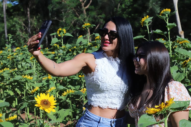 Familias y grupos de amigos aprovechan para la tradicional selfie a postear en redes sociales.