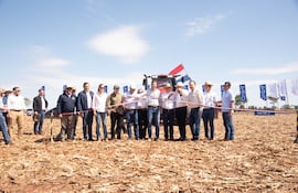 Soja 2026/27: APS inicia una nueva campaña con foco en competitividad