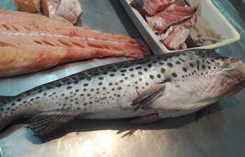 Foto de archivo. Imagen de referencia.