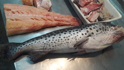 Foto de archivo. Imagen de referencia.