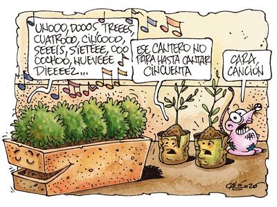 CANTERO