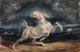 La pintura “Caballo asustado por una Tormenta”, fue escogida para la tapa del libro de Jorge Augusto Lima.