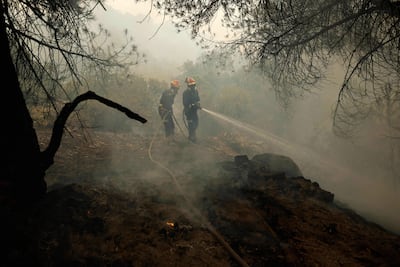 Los bomberos luchan contra un incendio forestal cerca de San Martín de Valdeiglesias, a unos 70 km al oeste de Madrid.