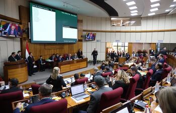 Sesión de la Cámara de Senadores de hoy (Gentileza).