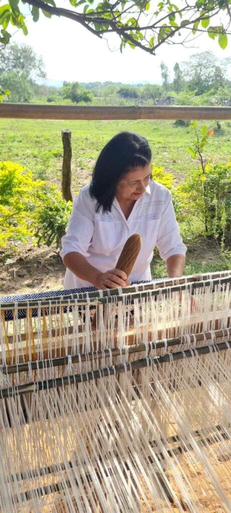 El taller artesanal de Mirta Orihuela de Carapeguá, los visitantes podrán llegar para conocer las técnicas ancestrales de tejido preservadas por generaciones.